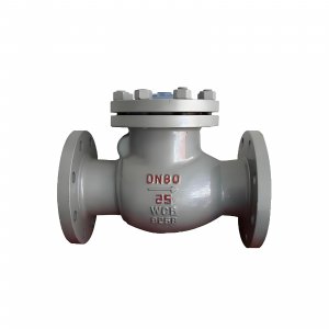 DN50 PN25 介質(zhì)：甲胺，溫度：80℃止回閥