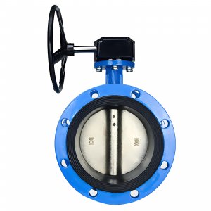 法蘭式蝸輪蝸桿蝶閥DN40，1.6Mpa（橡膠密封